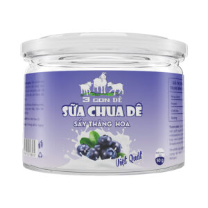 Sữa chua dê việt quất sấy thăng hoa