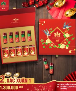 Hộp Quà Sắc Xuân 1 (Dịch + Yến)