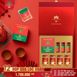 Hộp Quà Lộc Xuân 2024 (Dịch + yến + trà)