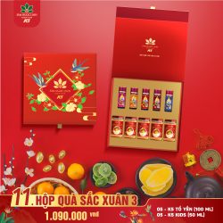 Hộp Quà Sắc Xuân 3 (Yến Kids + Yến)
