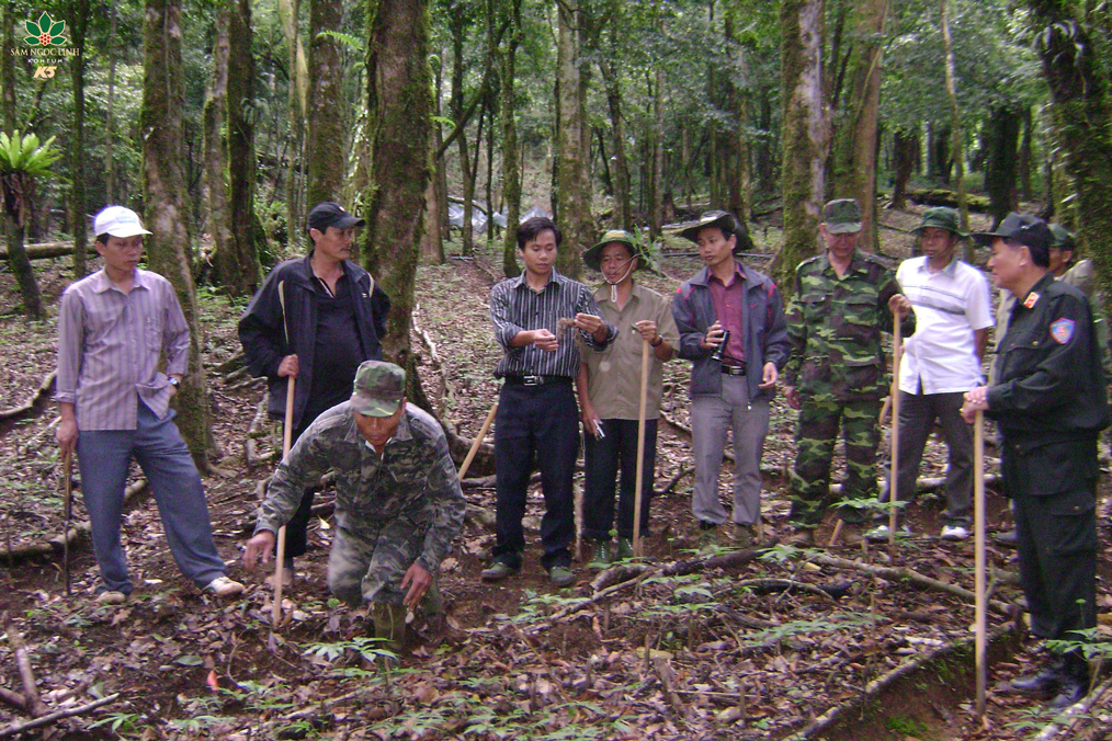 Lãnh đạo, cán bộ ghé thăm vườn Sâm K5 năm 2011.